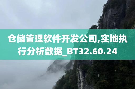 仓储管理软件开发公司,实地执行分析数据_BT32.60.24