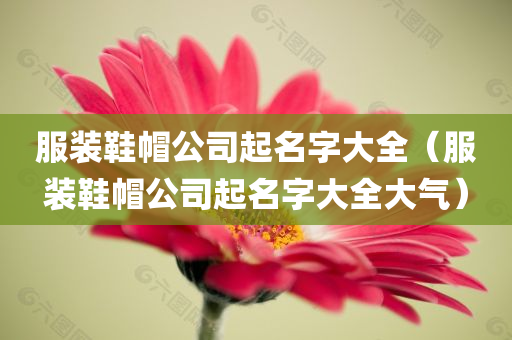 服装鞋帽公司起名字大全（服装鞋帽公司起名字大全大气）