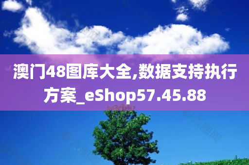 澳门48图库大全,数据支持执行方案_eShop57.45.88