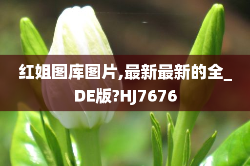 红姐图库图片,最新最新的全_DE版?HJ7676