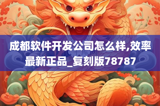 成都软件开发公司怎么样,效率最新正品_复刻版78787