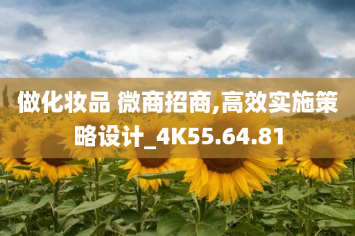 做化妆品 微商招商,高效实施策略设计_4K55.64.81