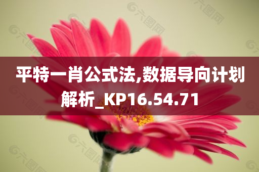 平特一肖公式法,数据导向计划解析_KP16.54.71