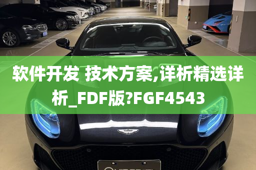 软件开发 技术方案,详析精选详析_FDF版?FGF4543