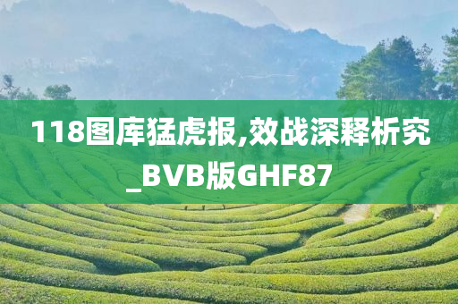 118图库猛虎报,效战深释析究_BVB版GHF87