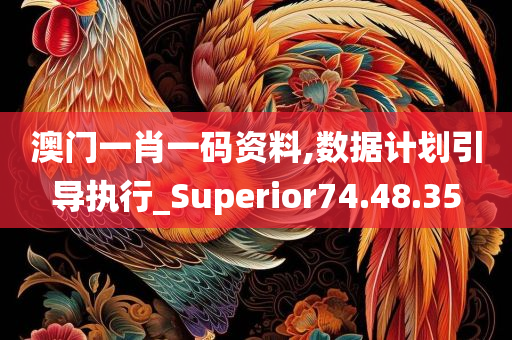 澳门一肖一码资料,数据计划引导执行_Superior74.48.35