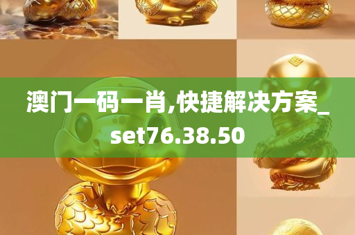 澳门一码一肖,快捷解决方案_set76.38.50