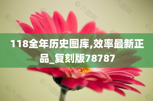 118全年历史图库,效率最新正品_复刻版78787