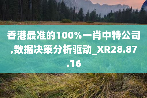 香港最准的100%一肖中特公司,数据决策分析驱动_XR28.87.16