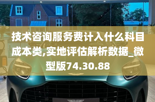 技术咨询服务费计入什么科目成本类,实地评估解析数据_微型版74.30.88