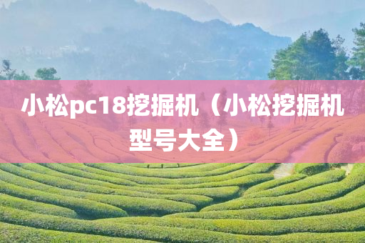 小松pc18挖掘机（小松挖掘机型号大全）