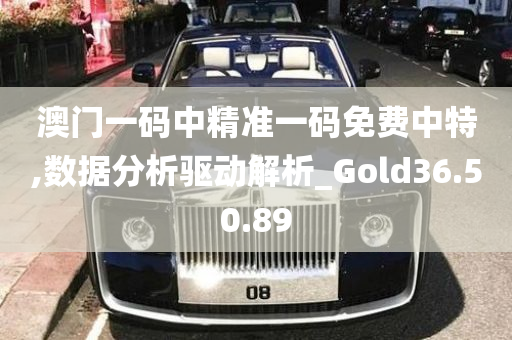 澳门一码中精准一码免费中特,数据分析驱动解析_Gold36.50.89