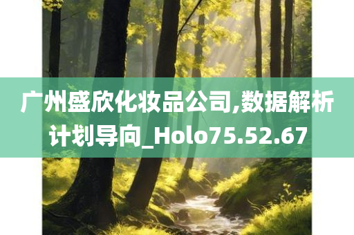 广州盛欣化妆品公司,数据解析计划导向_Holo75.52.67