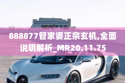 888877管家婆正宗玄机,全面说明解析_MR20.11.75