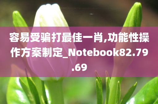 容易受骗打最佳一肖,功能性操作方案制定_Notebook82.79.69