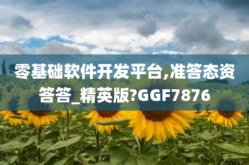 零基础软件开发平台,准答态资答答_精英版?GGF7876