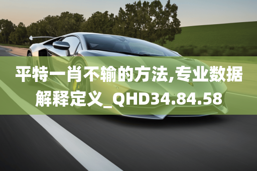 平特一肖不输的方法,专业数据解释定义_QHD34.84.58