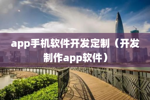 app手机软件开发定制（开发制作app软件）