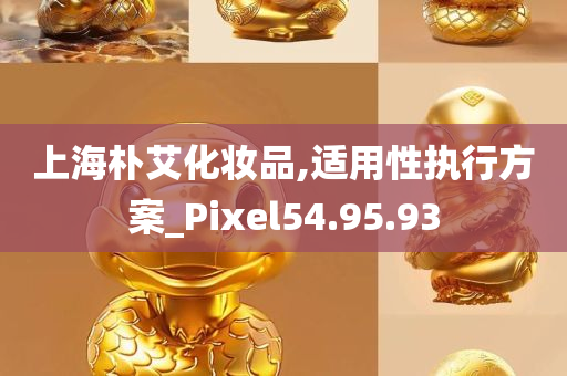 上海朴艾化妆品,适用性执行方案_Pixel54.95.93