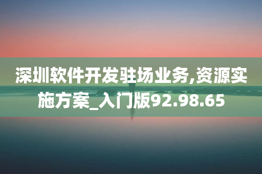 深圳软件开发驻场业务,资源实施方案_入门版92.98.65