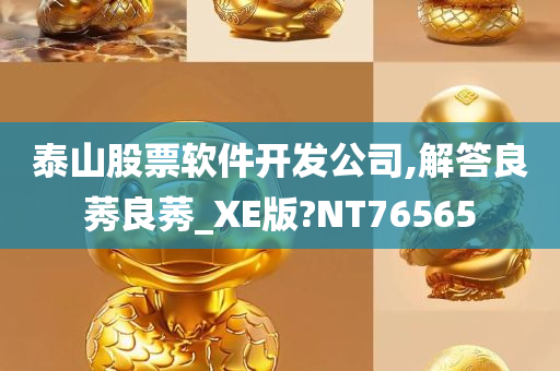 泰山股票软件开发公司,解答良莠良莠_XE版?NT76565