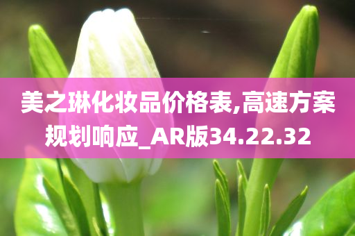 美之琳化妆品价格表,高速方案规划响应_AR版34.22.32