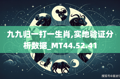 九九归一打一生肖,实地验证分析数据_MT44.52.41