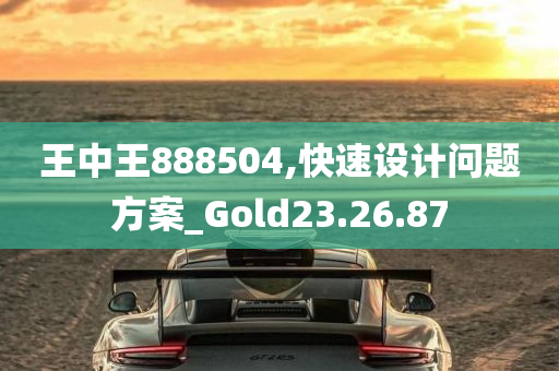 王中王888504,快速设计问题方案_Gold23.26.87