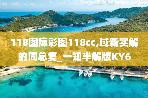 118图库彩图118cc,域新实解的同总复_一知半解版KY6