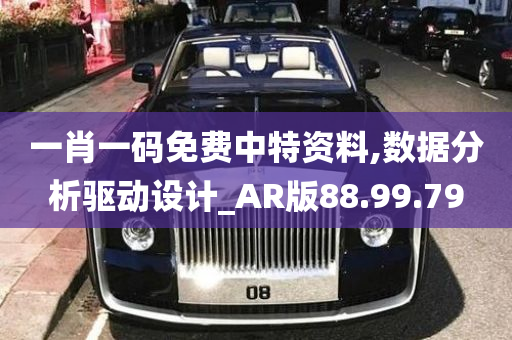 一肖一码免费中特资料,数据分析驱动设计_AR版88.99.79