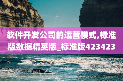 软件开发公司的运营模式,标准版数据精英版_标准版423423