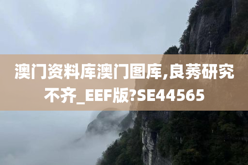 澳门资料库澳门图库,良莠研究不齐_EEF版?SE44565