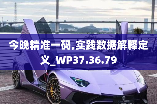 今晚精准一码,实践数据解释定义_WP37.36.79