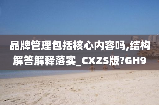 品牌管理包括核心内容吗,结构解答解释落实_CXZS版?GH9