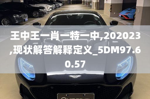 王中王一肖一特一中,202023,现状解答解释定义_5DM97.60.57