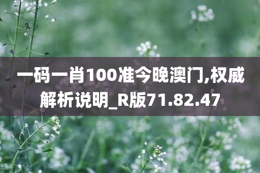 一码一肖100准今晚澳门,权威解析说明_R版71.82.47