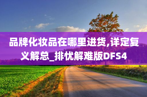 品牌化妆品在哪里进货,详定复义解总_排忧解难版DFS4