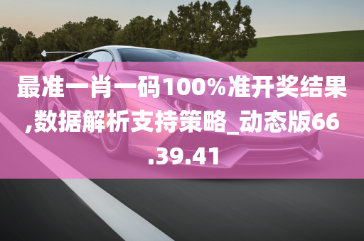 最准一肖一码100%准开奖结果,数据解析支持策略_动态版66.39.41