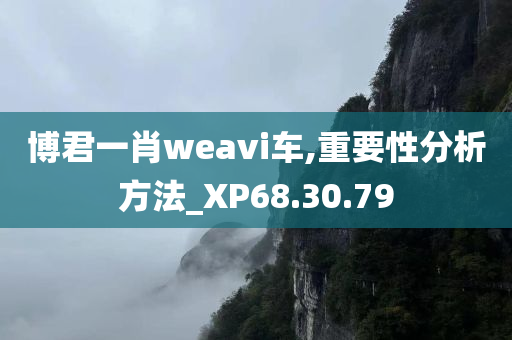 博君一肖weavi车,重要性分析方法_XP68.30.79