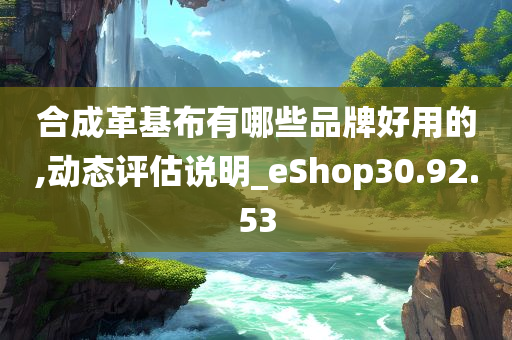 合成革基布有哪些品牌好用的,动态评估说明_eShop30.92.53