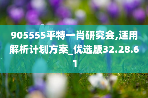 905555平特一肖研究会,适用解析计划方案_优选版32.28.61