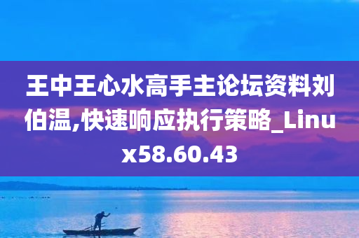 王中王心水高手主论坛资料刘伯温,快速响应执行策略_Linux58.60.43