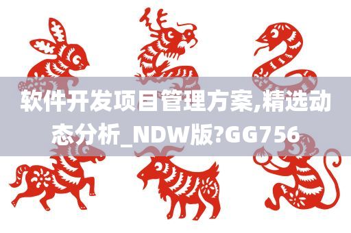 软件开发项目管理方案,精选动态分析_NDW版?GG756