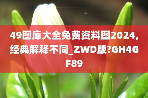 49图库大全免费资料图2024,经典解释不同_ZWD版?GH4GF89