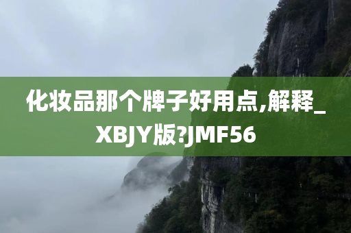 化妆品那个牌子好用点,解释_XBJY版?JMF56