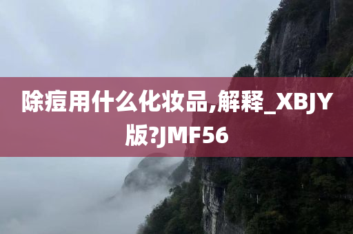 除痘用什么化妆品,解释_XBJY版?JMF56