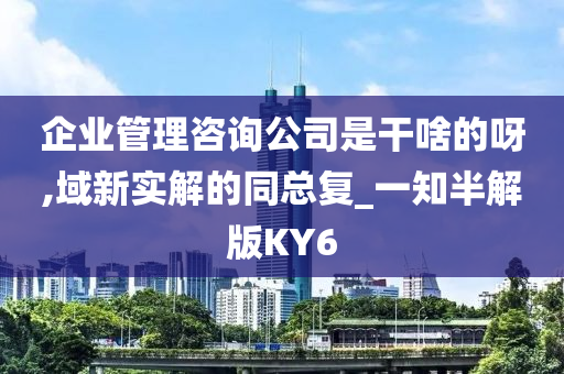 企业管理咨询公司是干啥的呀,域新实解的同总复_一知半解版KY6