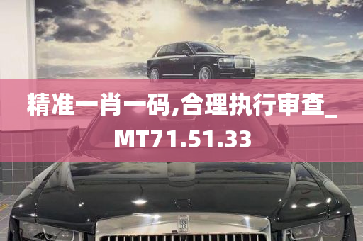 精准一肖一码,合理执行审查_MT71.51.33