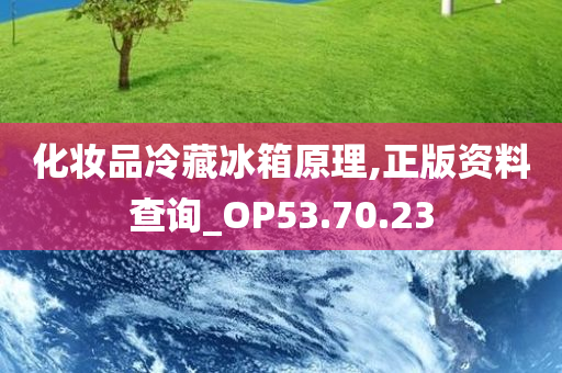 化妆品冷藏冰箱原理,正版资料查询_OP53.70.23