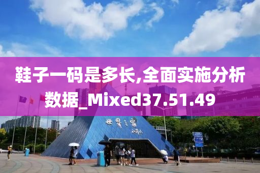 鞋子一码是多长,全面实施分析数据_Mixed37.51.49